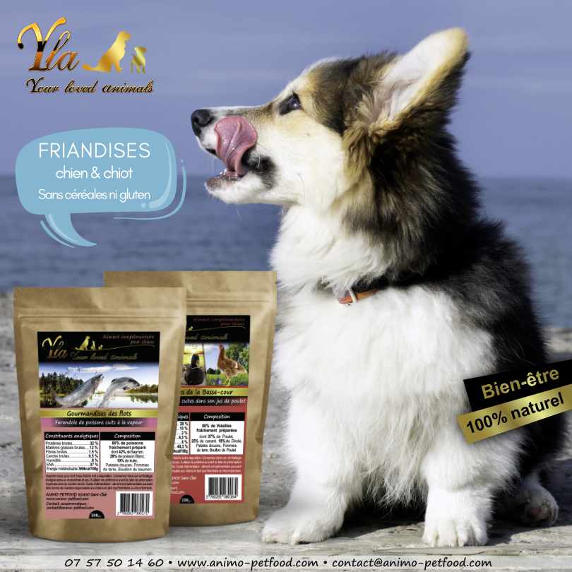 friandises sans cereales chien